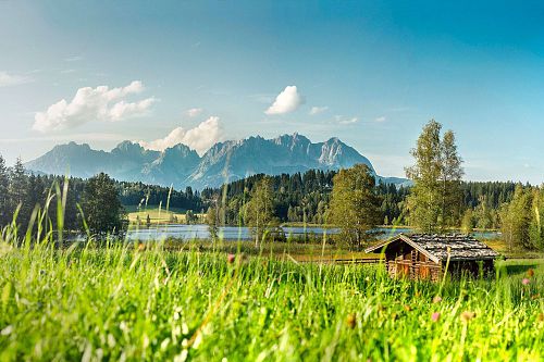 Landwirtschaft