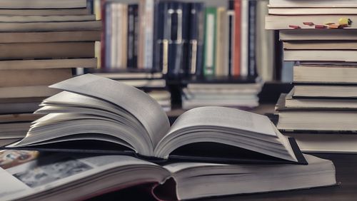 Bildung & Schulen